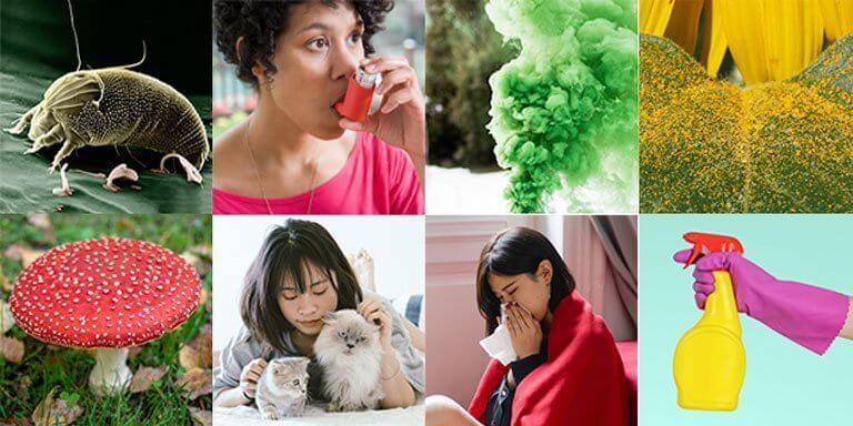 Causantes de Asma y Alergias